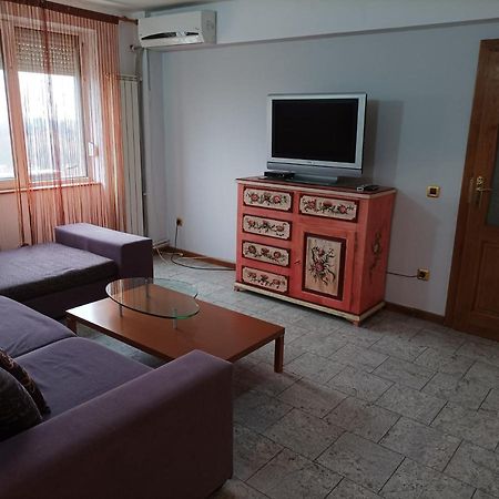 Libelula Apartman Arad Kültér fotó