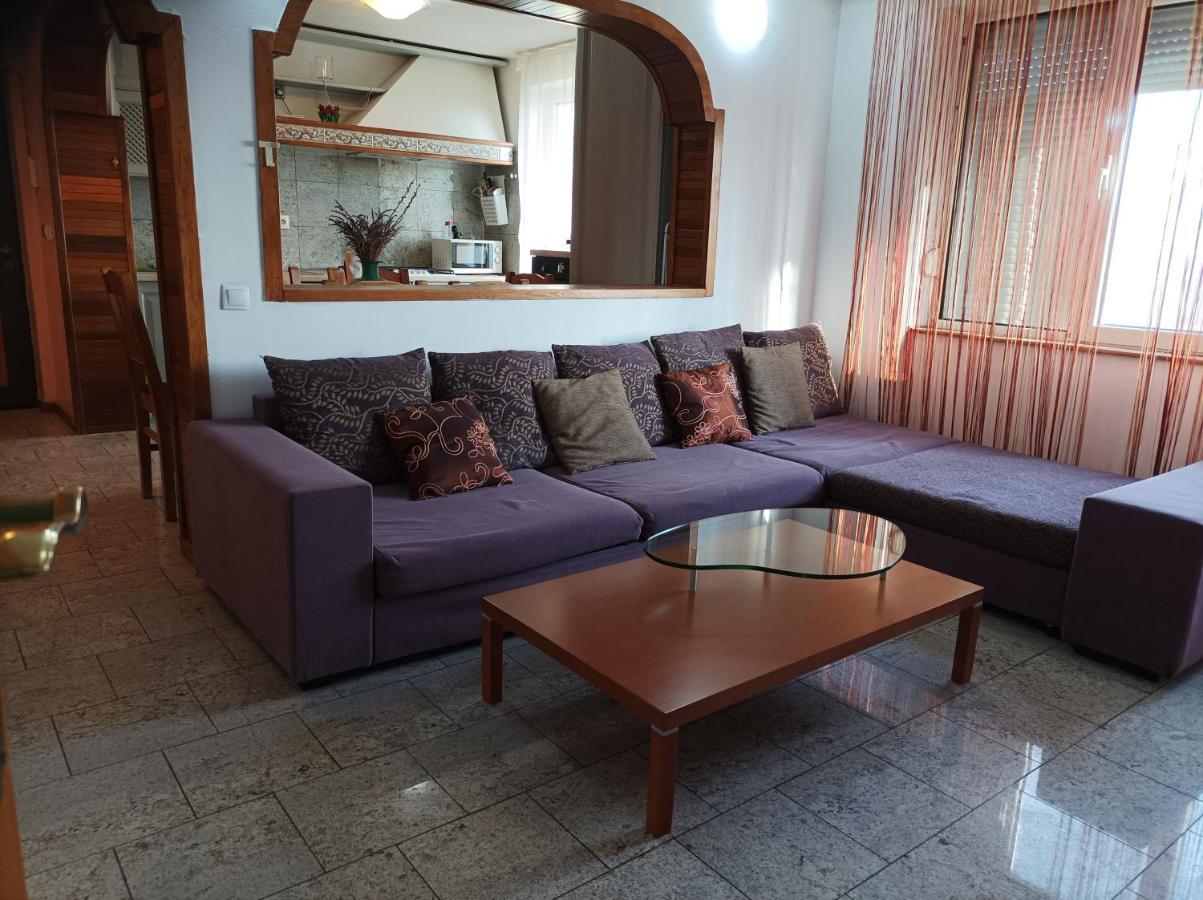 Libelula Apartman Arad Kültér fotó